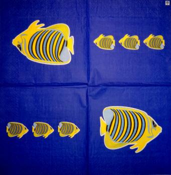 055 Fish - 3-ply
